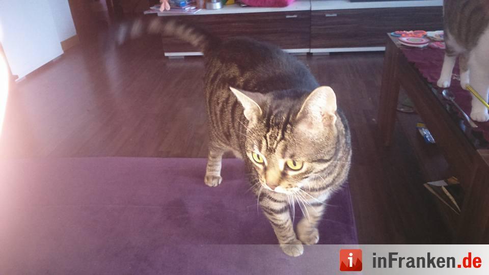 Foto: Tanja Cegla-Schüler