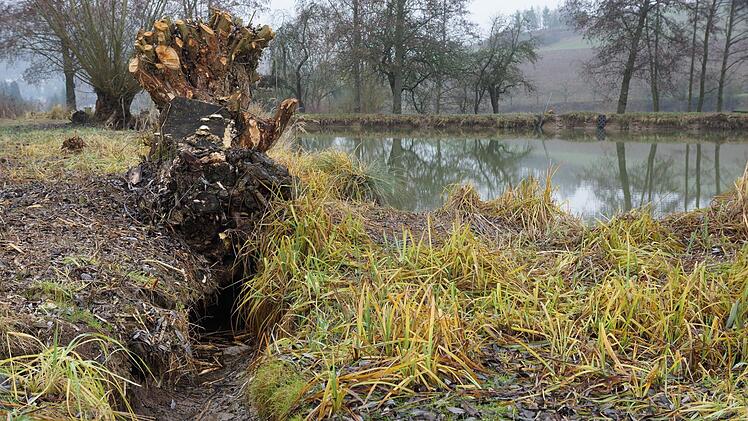 Das Ufer ist zerfranst und untergraben.Foto: Arkadius Guzy