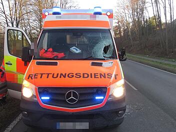 Durch eine herabfallende Eisplatte zersplitterte in Oberkotzau die Frontscheibe eines Rettungswagens. Ein Insasse wurde verletzt. Foto: Polizei