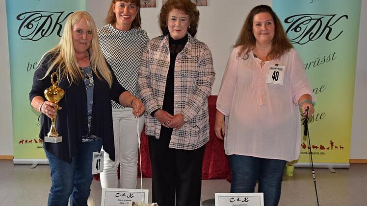 Sieger der "Golden Globe Show" 2017 in Ebern wurde Angelika Schneider (links) aus Gochsheim mit ihrem West Highland White Terrier Rüden "Challenger von den Steigerwaldhöh'n". Rechts die Zweitplatzierte Sindy Seifert aus Hildurghausen mit dem schwarzen Shih Tzu  Rüden "Sisco of the Chinatown". Zweite von links Vorsitzende Christine Andres und daneben Zuchtrichterin Maritza Morrison. Foto: Christine Andres