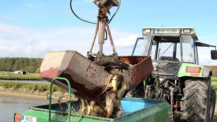 Impressionen vom Abfischen  Richard Sänger