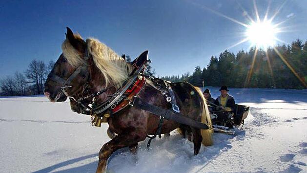 Schneeschuhwandern, Pferdeschlittentour oder einfach ein Spaziergang: Winter kann so sch&ouml;n sein. Hier unsere Lieblingsaktivit&auml;ten f&uuml;r kalte Tage in Franken:  Foto: Armin Weigel dpa/lby