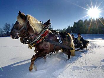 Schneeschuhwandern, Pferdeschlittentour oder einfach ein Spaziergang: Winter kann so schön sein. Hier unsere Lieblingsaktivitäten für kalte Tage in Franken:  Foto: Armin Weigel dpa/lby