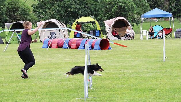 Allerlei H&uuml;rden hatten die Vierbeiner zu nehmen, da kamen auch Frauchen und Herrchen mitunter ins Schwitzen. Foto: Evi Seeger