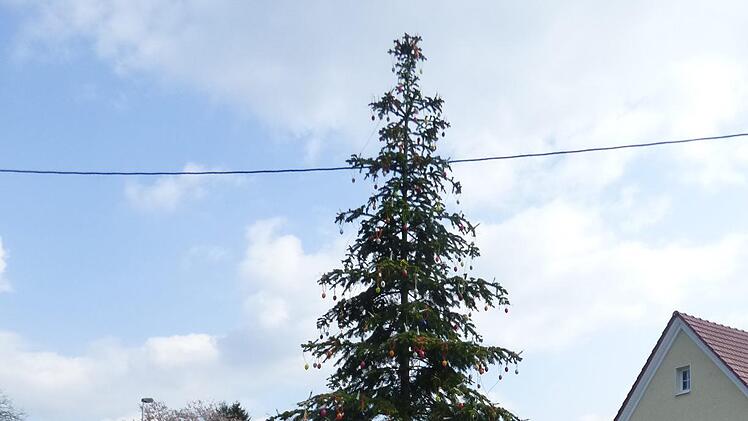 Der Osterbaum in Morschreuth wird geschmückt. Foto: Thomas  Weichert