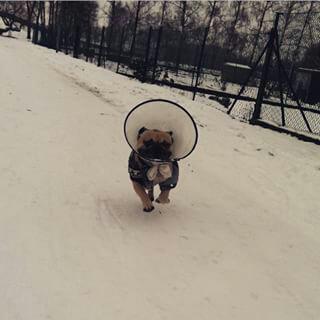 Foto: mici_maus-12