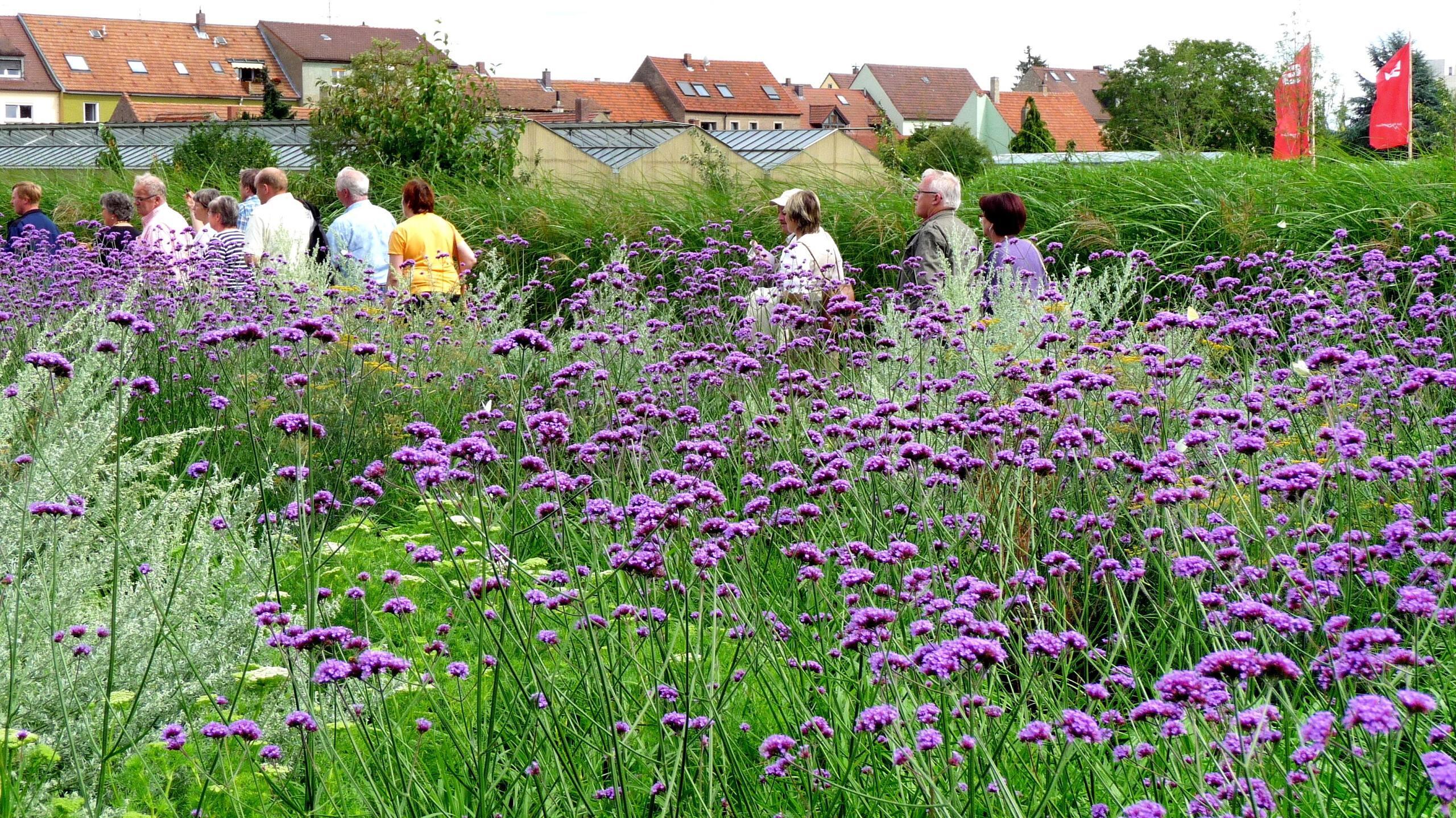 Der Blick ins Archiv Als Kitzingen vor zehn Jahren aufblühte