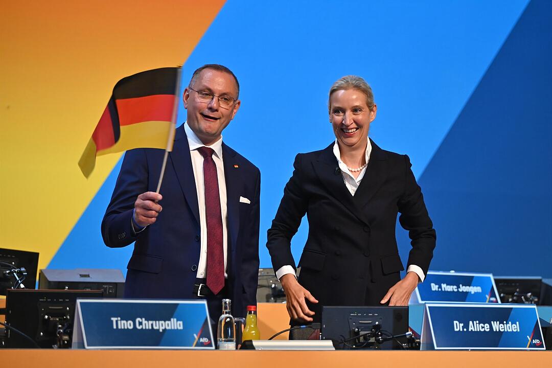 Bundesparteitag der AfD