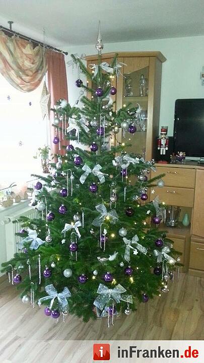 Weihnachten in Franken: Die Christbäume unserer Leser