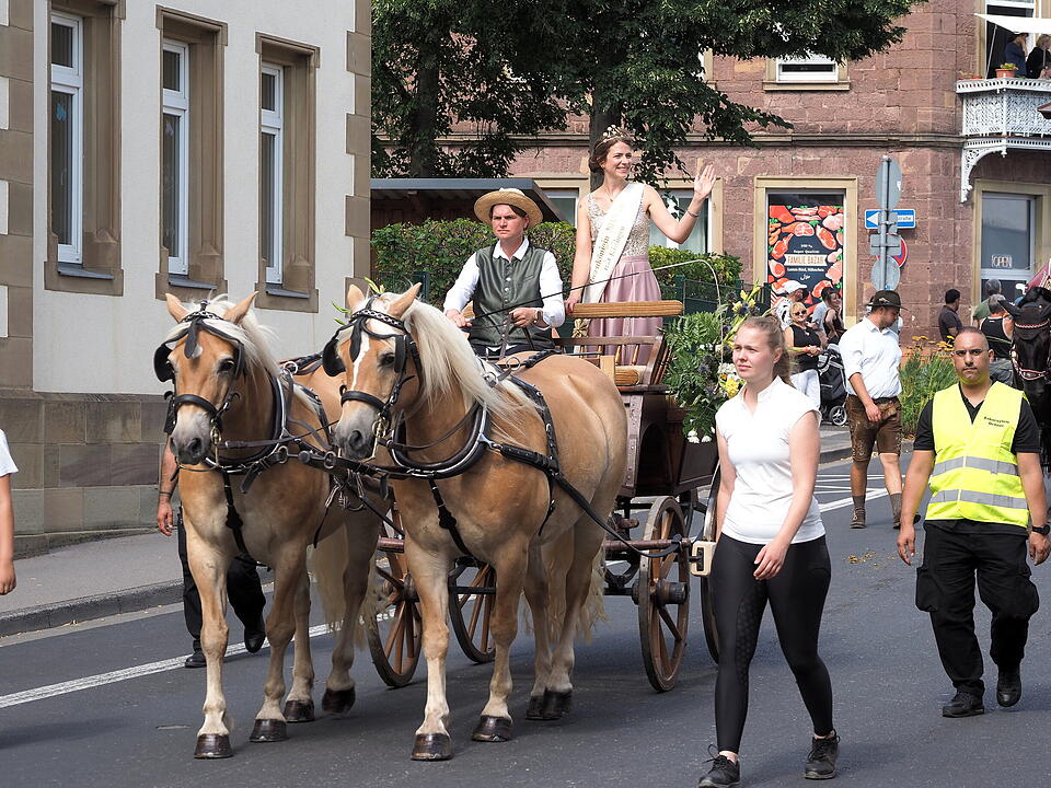 Der sonnt&auml;gliche H&ouml;hepunkt des Rakoczy-Fest.