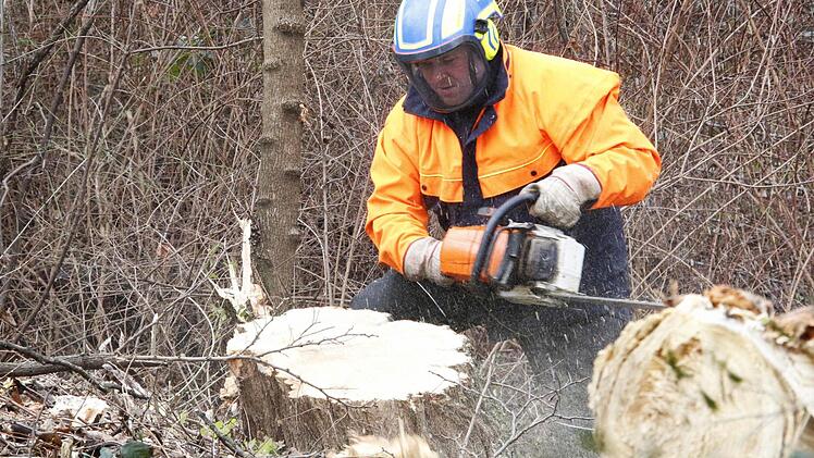 Foto: Josef Hofbauer