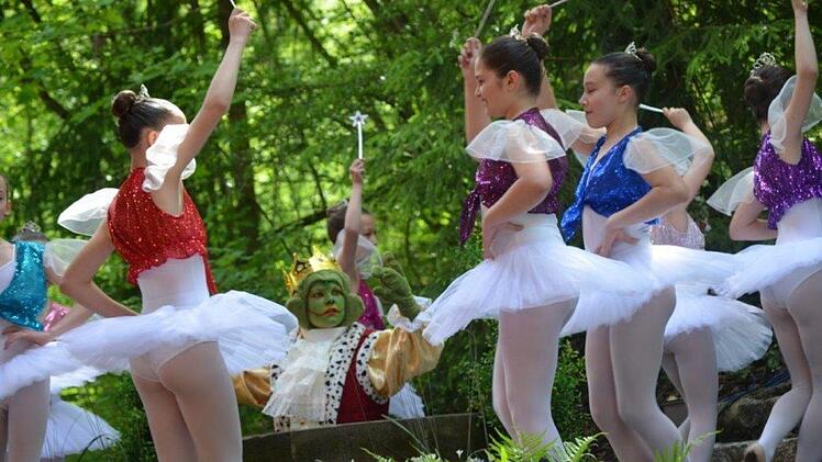 Premiere des Märchens "Froschkönig" auf der Waldbühne Heldritt Foto: Gabi Bertram