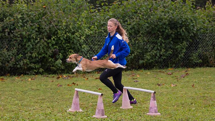 Isabel Seifert vom Verein für Hundesport Wonfurt erreichte mit ihrem Hund Mimi den dritten Platz in ihrer Altersklasse beim Hindernislauf und kam beim Shorty-Turnier zusammen mit Philipp Küllstädt auf den zweiten Platz.