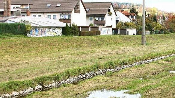 Der nördliche Damm wird mit einer mehrere Meter hohe Spundwand verstärkt.
