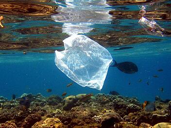 Im Meer treiben nicht nur Plastiktüten, sondern vor allem winzig kleine Kunststoffpartikel. Foto: EPA, Mike Nelson, dpa