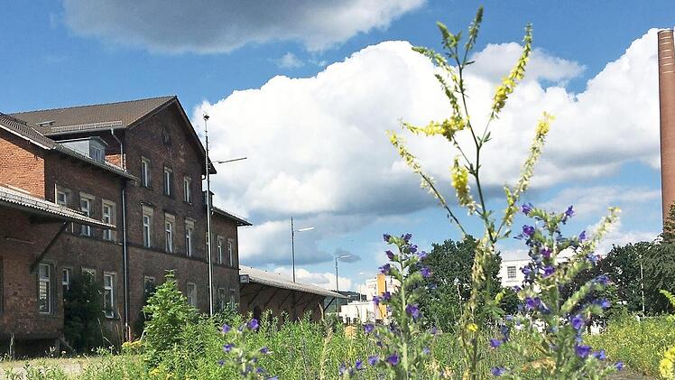 Auf dem Gelände des früheren Kulmbacher Güterbahnhofs soll der Uni-Campus gebaut werden.  Fotos: Stephan Tiroch