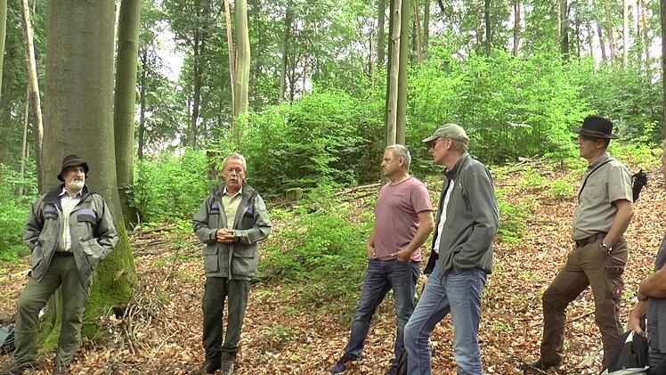 Die Stadtr&auml;te erfuhren im Stadtwald alles rund um die Bewirtschaftung.Christian Licha