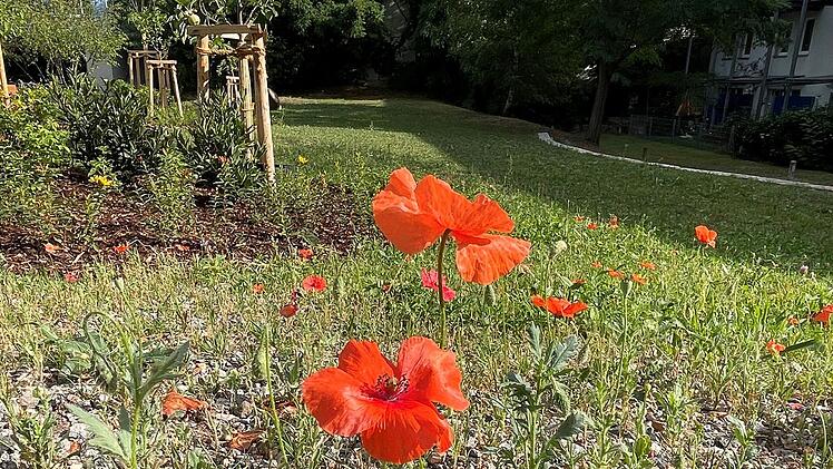 N&uuml;rnberg: Nach Umgestaltung - Gr&uuml;nanlage und Stadtplatz Neubleiche feierlich er&ouml;ffnet