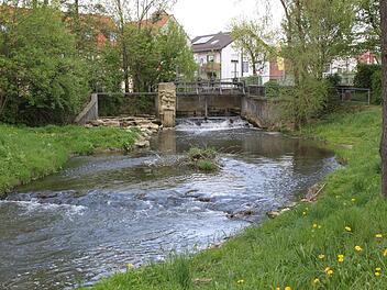 Der Leitenbach am Wehr in GundelsheimFoto: Hans Kurz