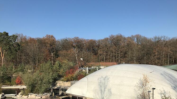Die Traglufthalle an der Delphinlagune im Tiergarten der Stadt N&uuml;rnberg