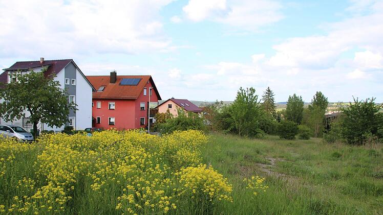 Wo jetzt Blumen blühen, könnten bald Häuser stehen. Thomas Malz