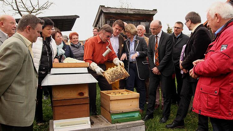 Imkervorstand Peter Kirchner (6. von links) demonstrierte am Lehrbienenstand die verschiedenen Stationen der Imkerei mit (von rechts) Kreisvorsitzenden Dr. Werner Hornung, MdL Tanja Schorer-Dremel, MdL Steffen Vogel und zahlreichen interessierten Gästen.