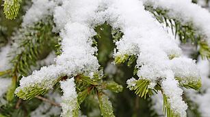 Schnee im Harz erwartet
