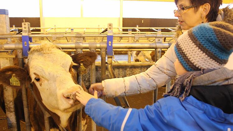 Zu Gast im neuen Stall in Effelter. Foto: Marco Meißner