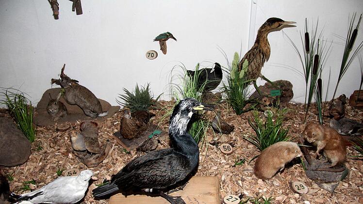 Impressionen von der Museumskerwa   Foto: Richard Sänger