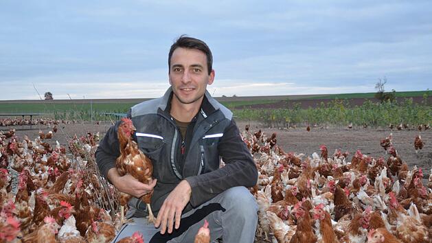 Die H&uuml;hner auf dem Vogler Hof werden zum Teil auch im Freiland gehalten. Hier ist Tier- und Landwirtschaftsmeister Frank Vogler mitten in einer Freilandanlage, bei der die Tiere viel Auslauf haben. Bei diesen H&uuml;hnern handelt es sich um eine spezielle Versuchsherde. Fotos: Kathrin Kupka-Hahn