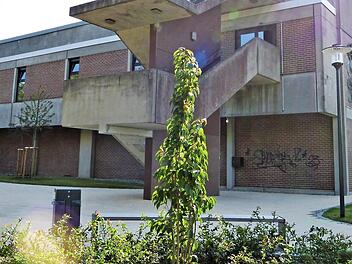 Der Kreisausschuss hofft darauf, dass die anstehende Generalüberholung der Dreifachsporthalle Weiher aus Mitteln des Bundesprogramms "Sanierung kommunaler Einrichtungen in den Bereichen Sport, Jugend und Kultur" gefördert wird.  Foto: Werner Reißaus