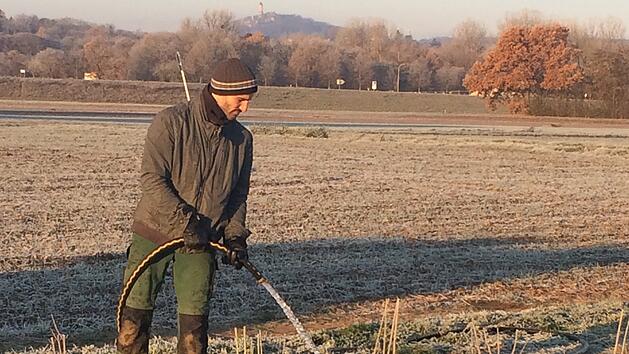 Angie&szlig;en der Planzen