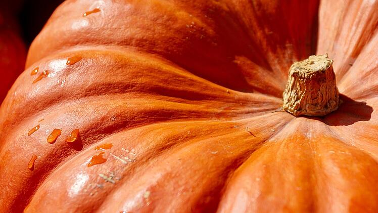 Symbolbild: K&uuml;rbis