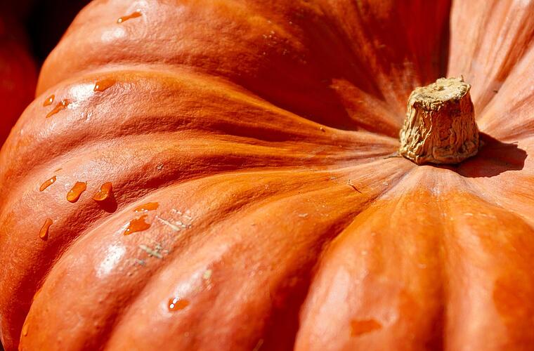 Kitzingen: Nachbarschafts-Streit eskaliert - Polizei ermittelt gegen "Kürbiswerfer"