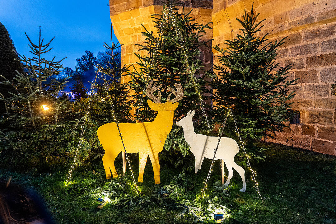 Winterszeit - Magische und zauberhafte Atmosphäre! Winterszeit - Magische und zauberhafte Atmosphäre!