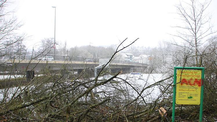 Holzfällarbeiten entlang des Hochwasserdamms.Heike Beudert
