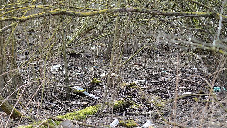 M&uuml;ll statt Idylle - gesehen am Hutweidsee. Karl Heinz Weber