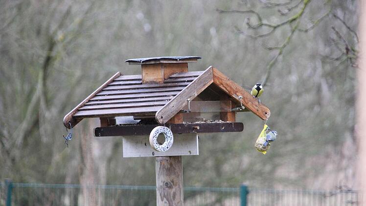 Am Vogelhäuschen in Friedrich Müllers Garten in Haßfurt herrscht reger Betrieb. Fotos: Katja Kölbl