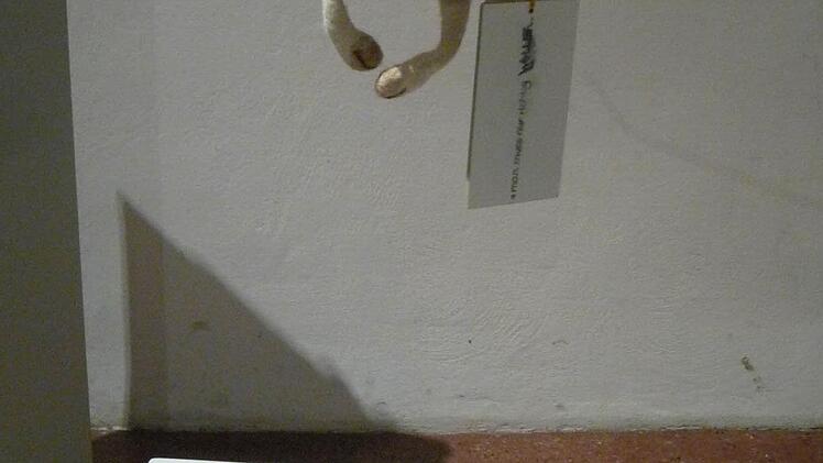 Fliegendes Tier