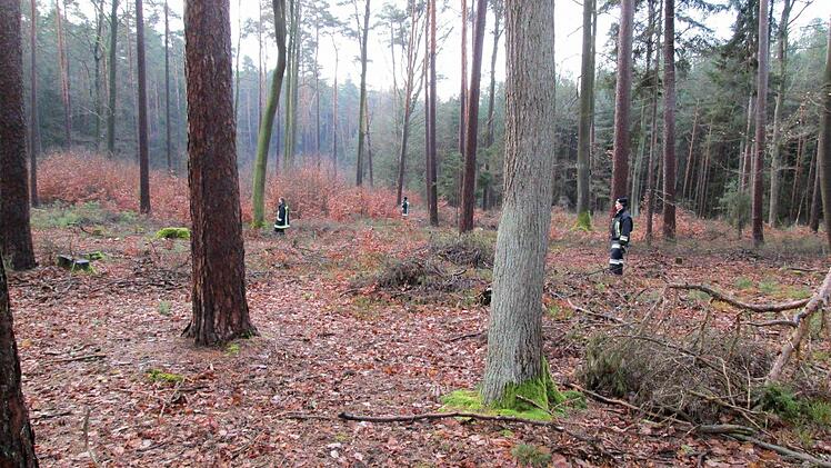Feuerwehrleute verteilen sich in gleichmäßigen Abständen im Wald, um die komplette Fläche abzudecken.