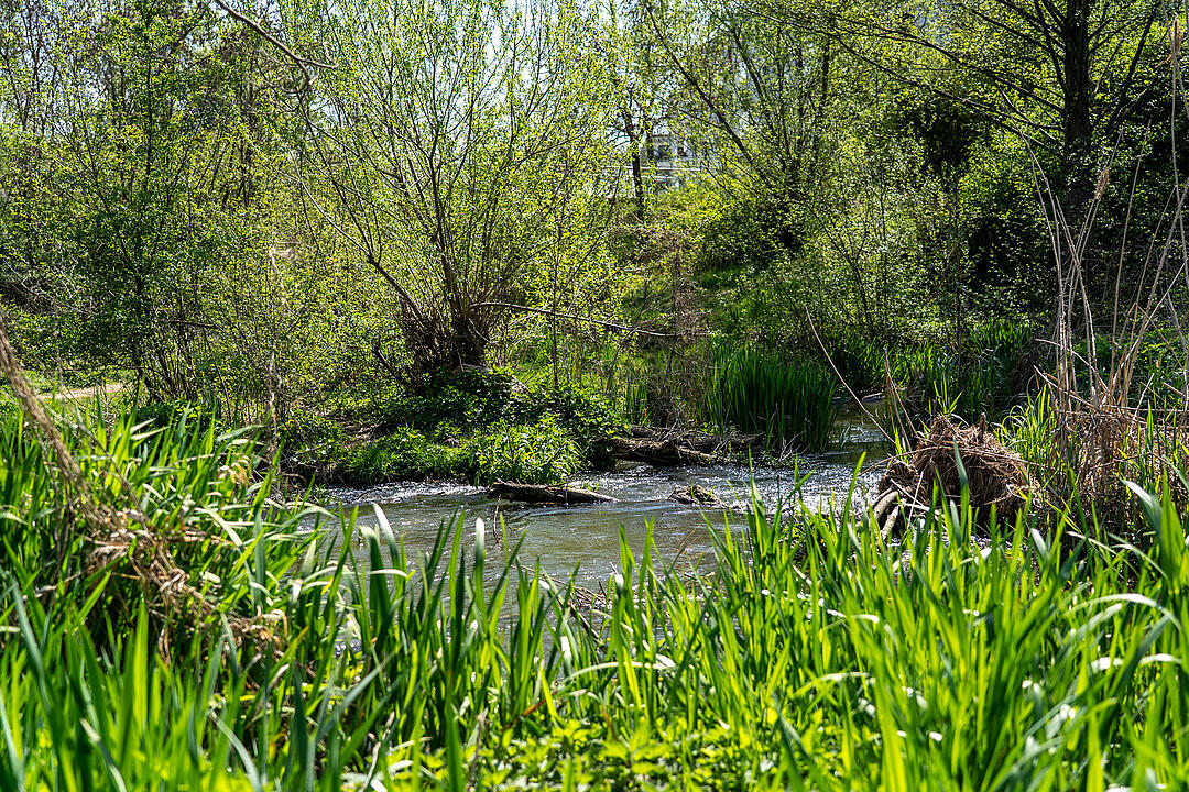 Wundersch&ouml;ne Naturfotos aus Bamberg.
