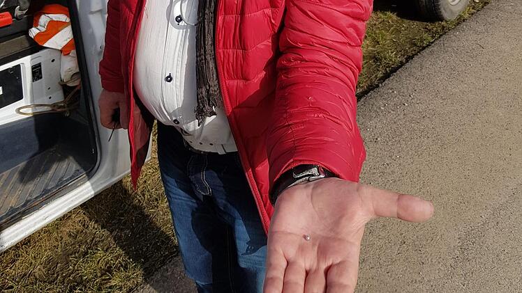 Franz Büttner hält in seiner Handfläche die kleine Luftgewehrkugel, die er im Innenraum seines Lasters fand. Foto: Susanne Will