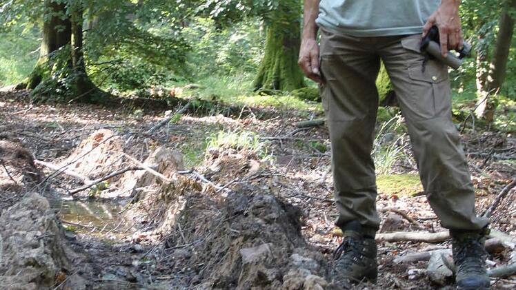 Schwarzstorch-Experte Carsten Rohde ist empört: "Jeder gute Förster vermeidet solche Verwundungen des Waldbodens!"