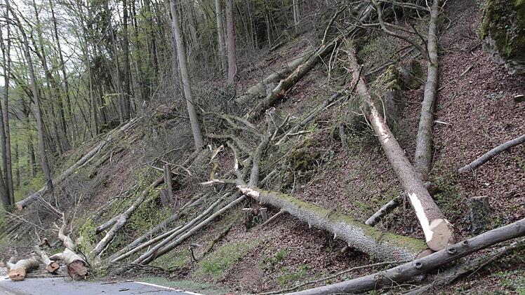 Heimatfreunde sehen in der Rodung eine Verschandelung der Landschaft.