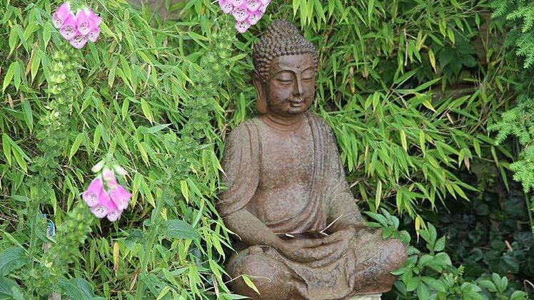 Einen reinen Ziergarten hat sich Willi Ismaier in Hausen geschaffen. Foto: Mathias Erlwein