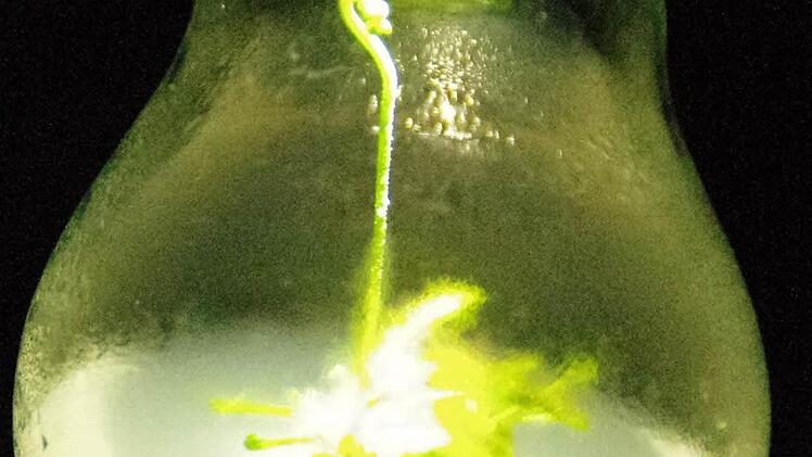 Kronach leuchtet 2016. Foto: Marco Meißner