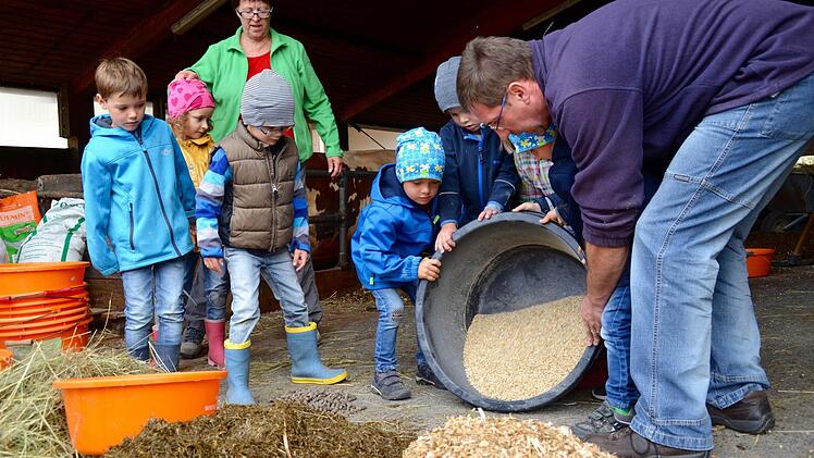 Acht Kilogramm "Müsli" frisst eine Kuh pro Tag. Die Menge hat Norbert Götz mit den Kindern abgemessen.  Foto: Kathrin Kupka-Hahn