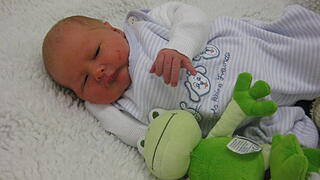 Babygalerie 335 Babygalerie 335