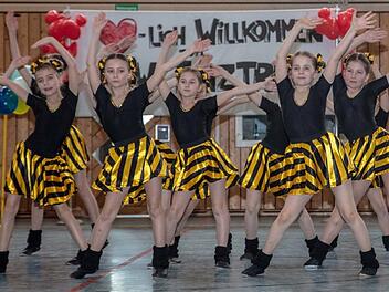 Dance 4 Fun aus Mitwitz präsentierte die Gruppe "Mäuse II". Fotos: Klaus Gagel