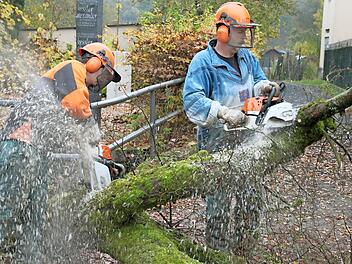 In der Friedhofsstraße mussten zwei Bäume gefällt werden. Die Stämme wurde direkt auf der gesperrten Straße zersägt. Fotos: Heike Beudert